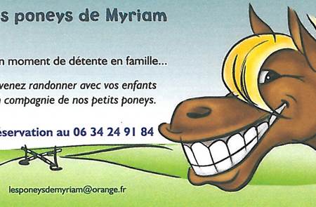 Les poneys de Myriam
